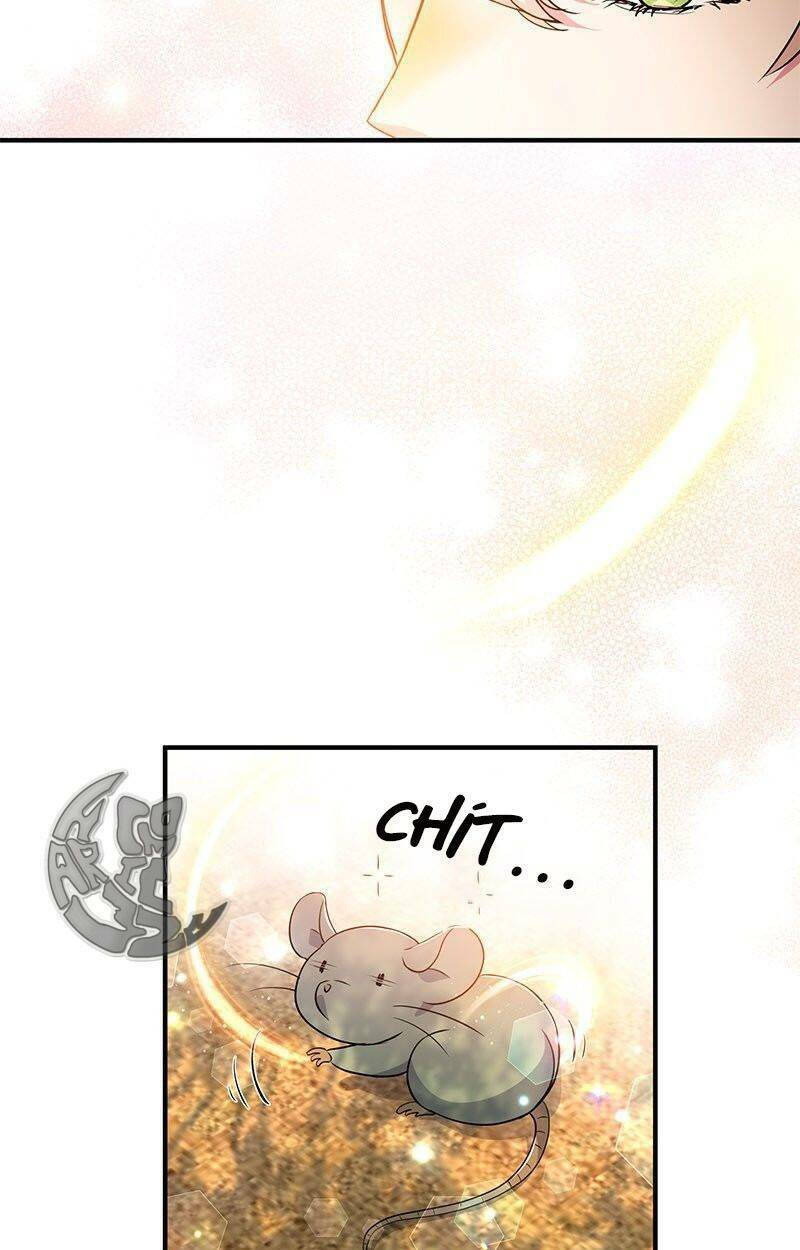 Nếu Là Phản Diện, Liệu Tôi Sẽ Chết?: Chapter 21