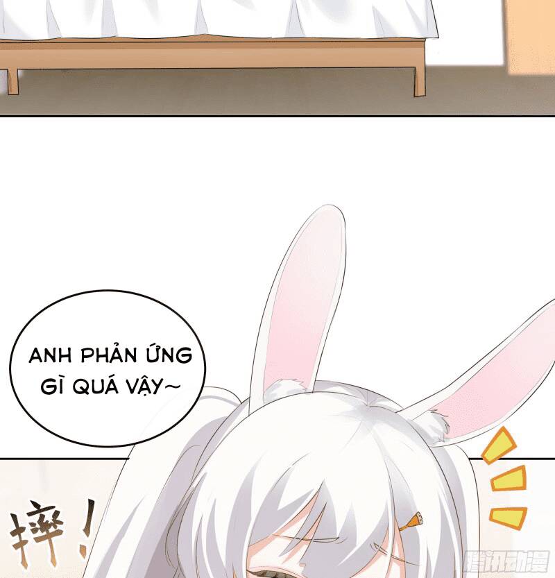 Các Cô Gái Tai Thú Đều Muốn Độc Chiếm Tôi: Chapter 1