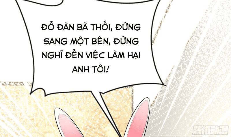 Các Cô Gái Tai Thú Đều Muốn Độc Chiếm Tôi: Chapter 11