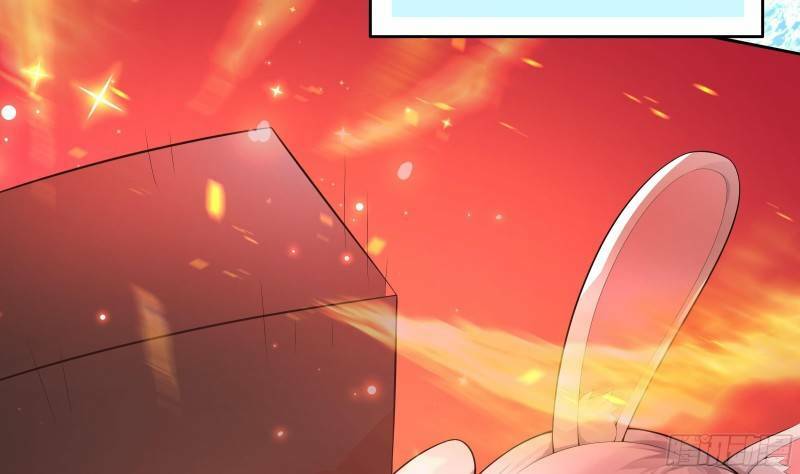 Các Cô Gái Tai Thú Đều Muốn Độc Chiếm Tôi: Chapter 12