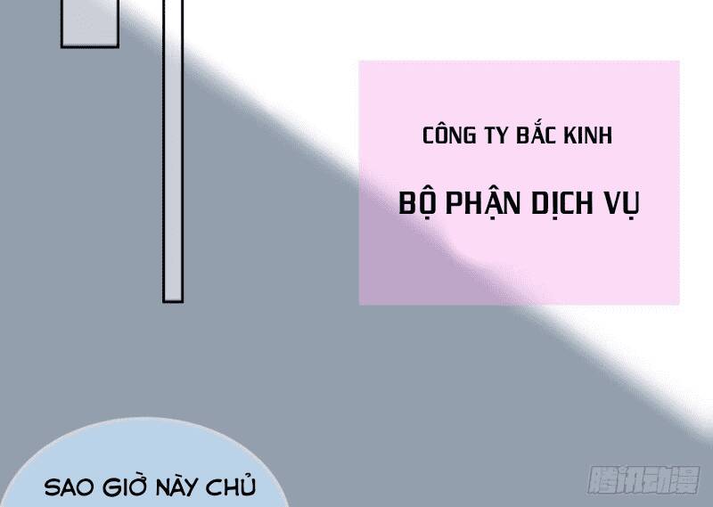 Các Cô Gái Tai Thú Đều Muốn Độc Chiếm Tôi: Chapter 15