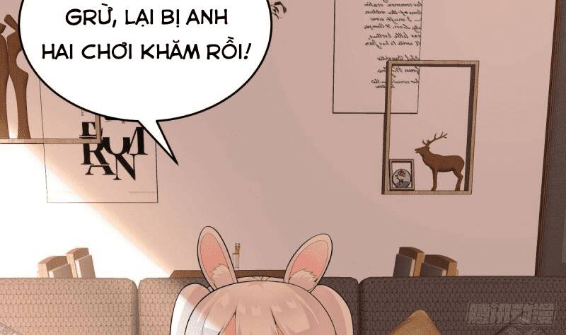 Các Cô Gái Tai Thú Đều Muốn Độc Chiếm Tôi: Chapter 16