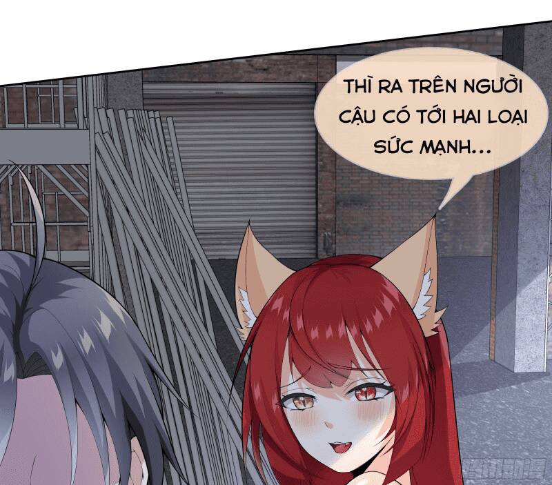 Các Cô Gái Tai Thú Đều Muốn Độc Chiếm Tôi: Chapter 17