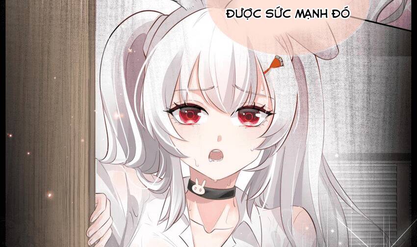 Các Cô Gái Tai Thú Đều Muốn Độc Chiếm Tôi: Chapter 19