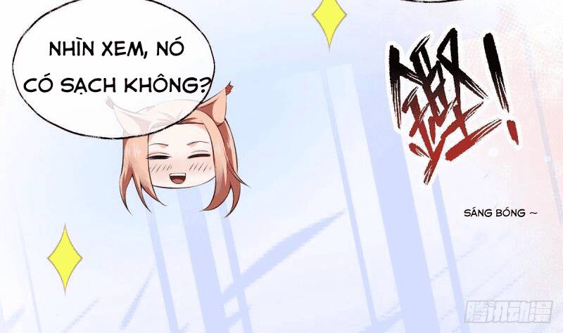 Các Cô Gái Tai Thú Đều Muốn Độc Chiếm Tôi: Chapter 2
