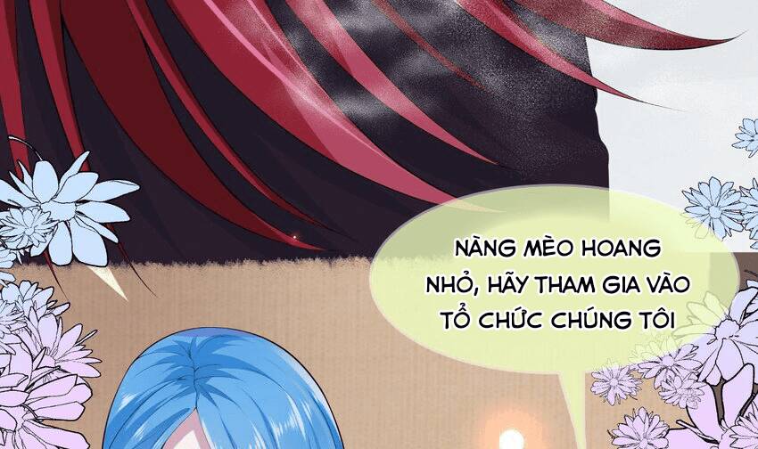 Các Cô Gái Tai Thú Đều Muốn Độc Chiếm Tôi: Chapter 20