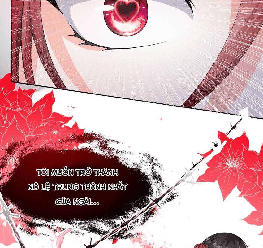 Các Cô Gái Tai Thú Đều Muốn Độc Chiếm Tôi: Chapter 20