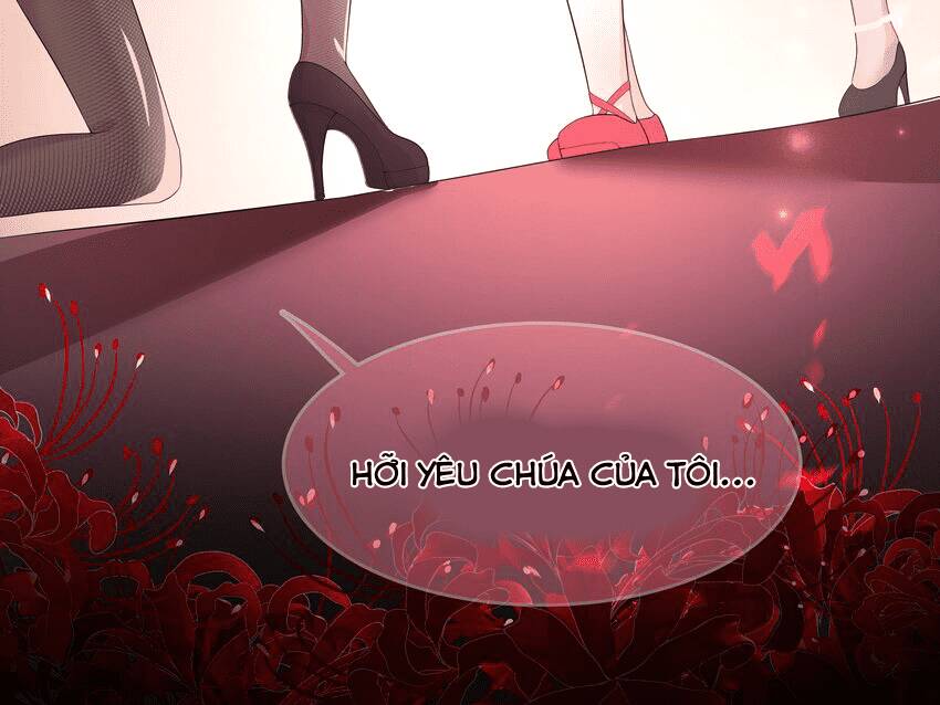 Các Cô Gái Tai Thú Đều Muốn Độc Chiếm Tôi: Chapter 21