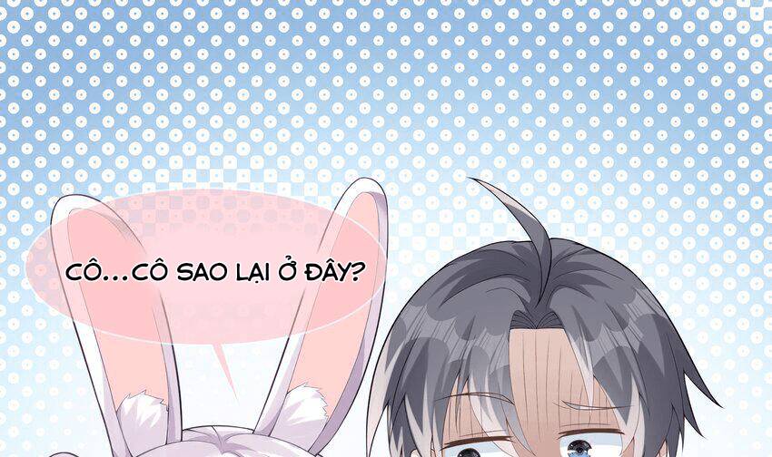 Các Cô Gái Tai Thú Đều Muốn Độc Chiếm Tôi: Chapter 22