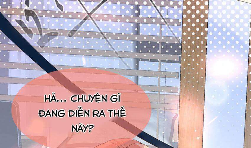 Các Cô Gái Tai Thú Đều Muốn Độc Chiếm Tôi: Chapter 23
