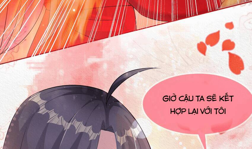 Các Cô Gái Tai Thú Đều Muốn Độc Chiếm Tôi: Chapter 24