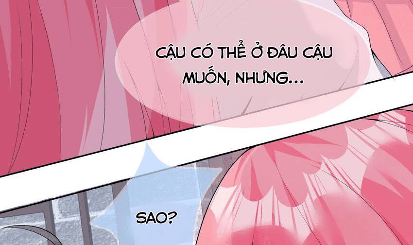 Các Cô Gái Tai Thú Đều Muốn Độc Chiếm Tôi: Chapter 26