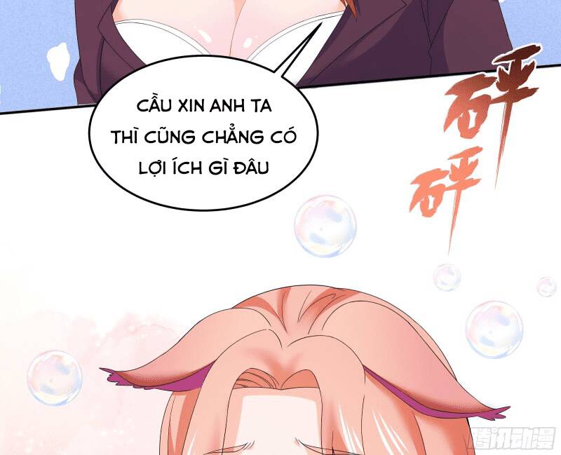 Các Cô Gái Tai Thú Đều Muốn Độc Chiếm Tôi: Chapter 3