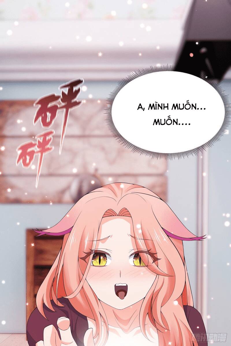 Các Cô Gái Tai Thú Đều Muốn Độc Chiếm Tôi: Chapter 6