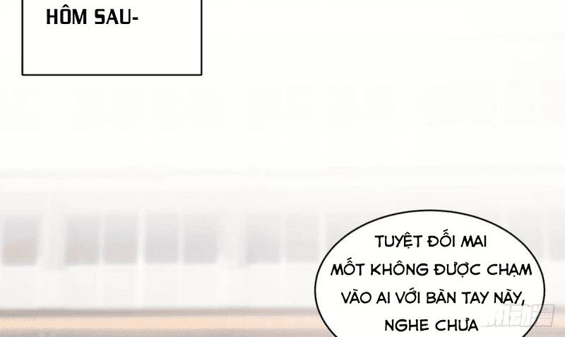 Các Cô Gái Tai Thú Đều Muốn Độc Chiếm Tôi: Chapter 8