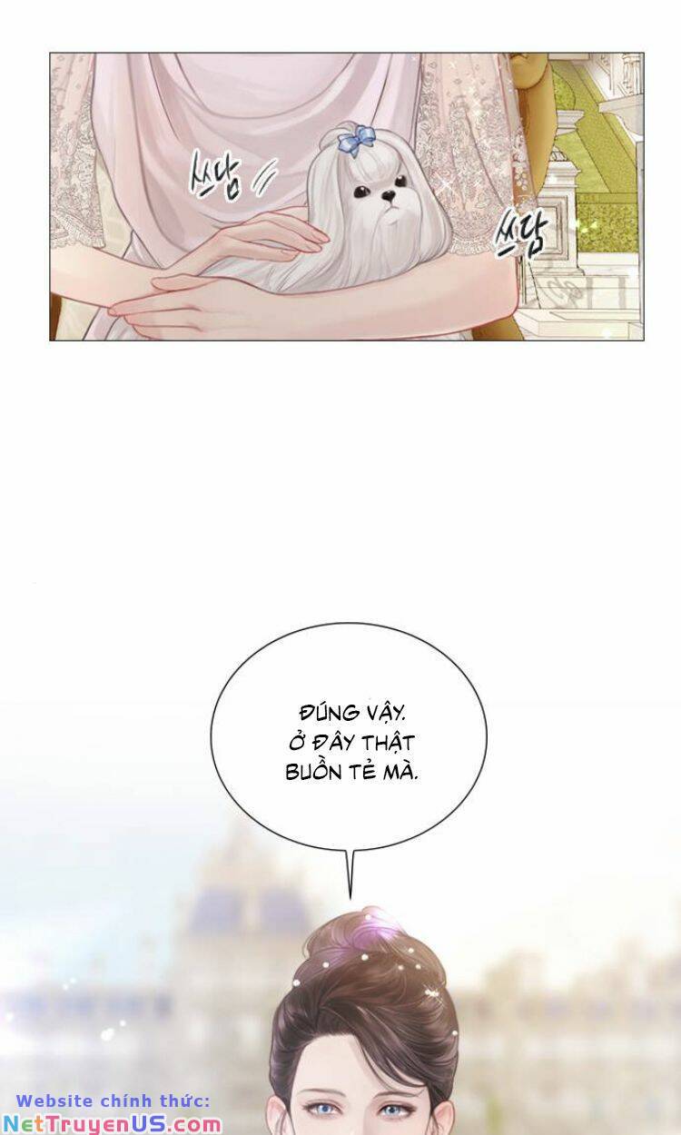 Hãy Khóc Và Cầu Nguyện Đi: Chapter 5