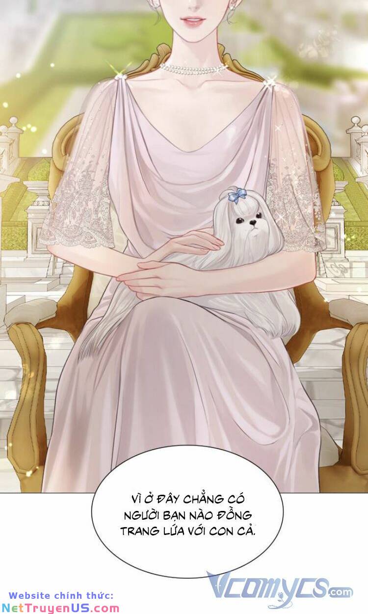 Hãy Khóc Và Cầu Nguyện Đi: Chapter 5