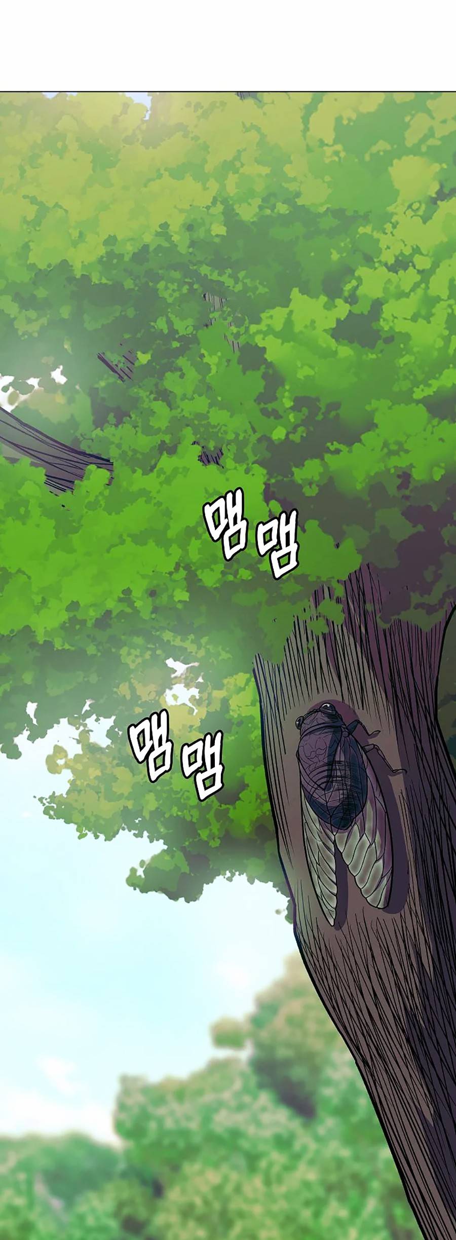 Năm Đường Xích Đạo: Chapter 11