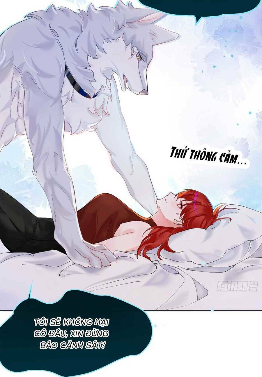 Bạn Trai Hóa Thú Của Tôi: Chapter 2