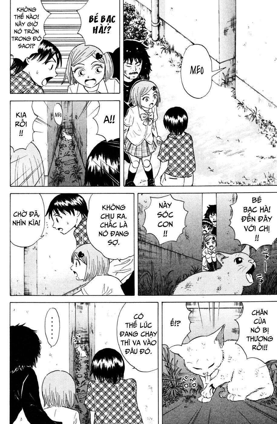 Sumire 16 Sai !!: Chapter 31: - Cậu bé và con mèo