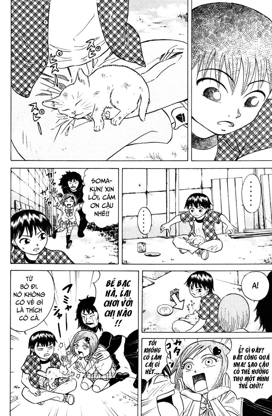 Sumire 16 Sai !!: Chapter 31: - Cậu bé và con mèo