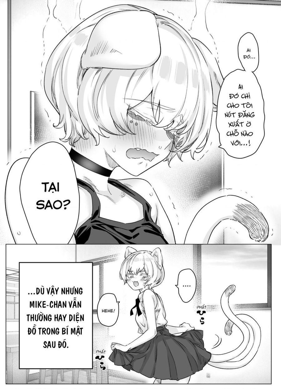 Cho Dù Cổ Không Ăn Lại Nữ Chính, Nhưng Bakeneko-Chan Vẫn Sẽ Cố Gắng: Chuong 4