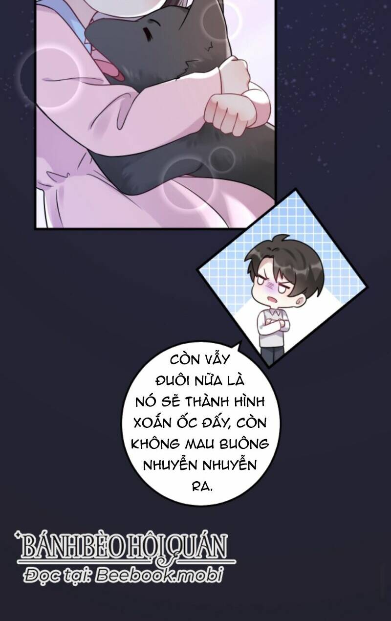 Đứng Yên! Em Gái Chúng Tôi Nói Trên Đầu Bạn Có Quỷ.: Chapter 17