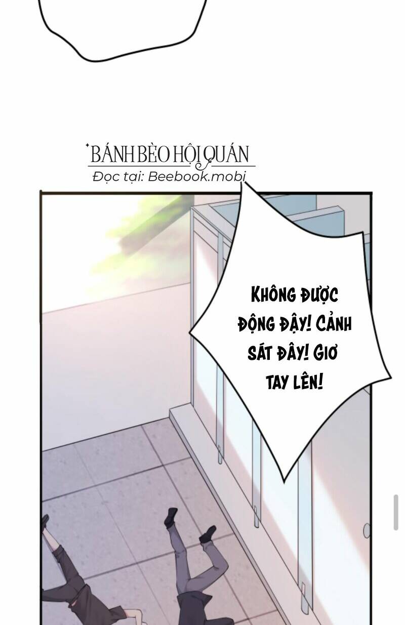 Đứng Yên! Em Gái Chúng Tôi Nói Trên Đầu Bạn Có Quỷ.: Chapter 28