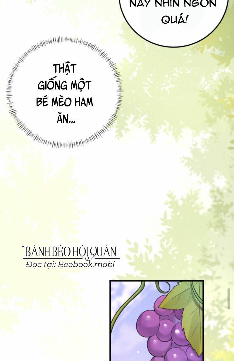 Đứng Yên! Em Gái Chúng Tôi Nói Trên Đầu Bạn Có Quỷ.: Chapter 31