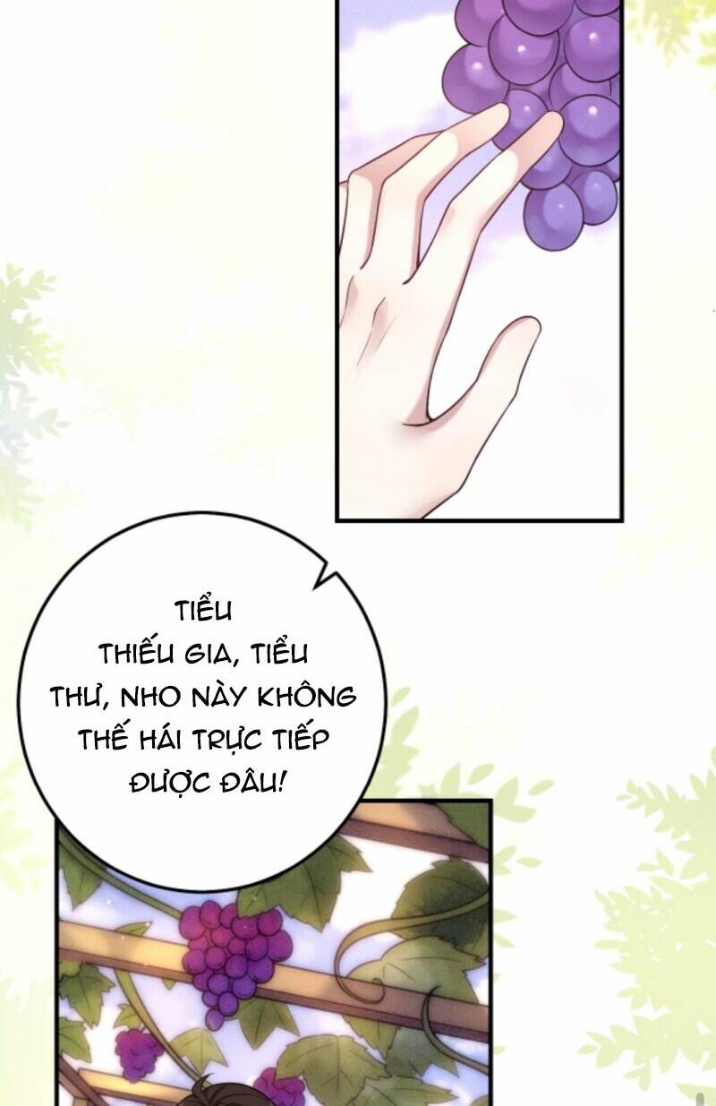 Đứng Yên! Em Gái Chúng Tôi Nói Trên Đầu Bạn Có Quỷ.: Chapter 31