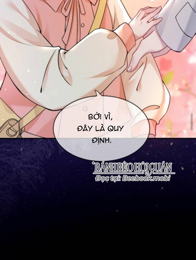Đứng Yên! Em Gái Chúng Tôi Nói Trên Đầu Bạn Có Quỷ.: Chapter 48