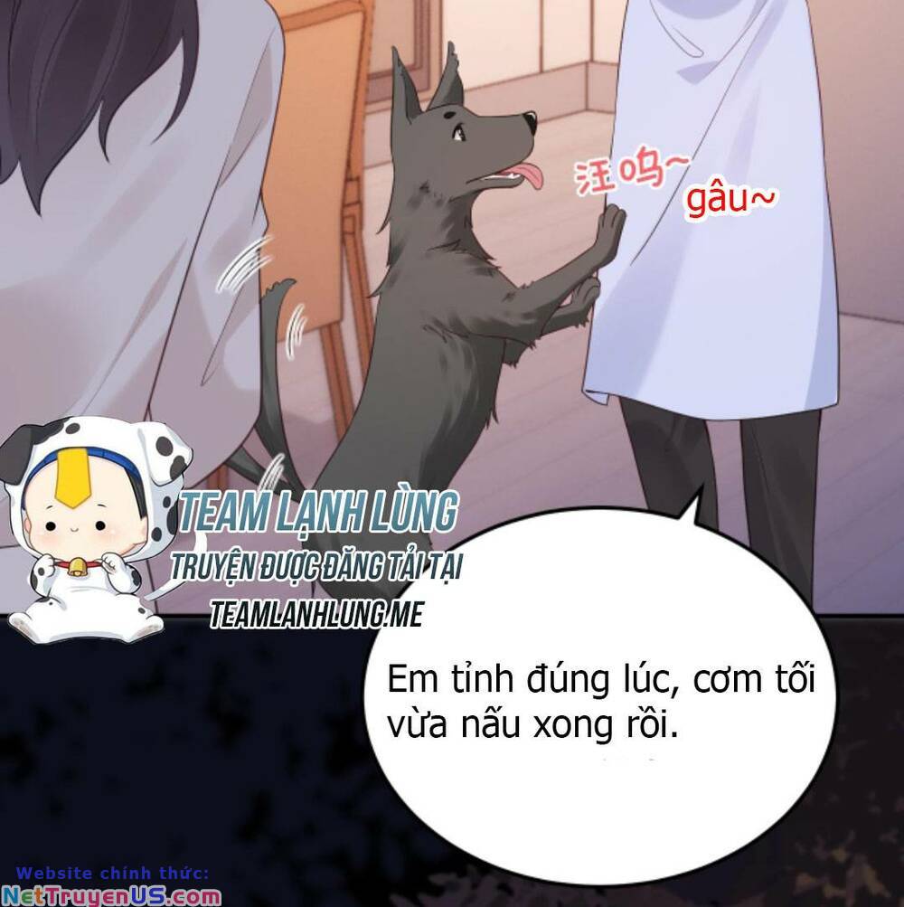 Đứng Yên! Em Gái Chúng Tôi Nói Trên Đầu Bạn Có Quỷ.: Chapter 91