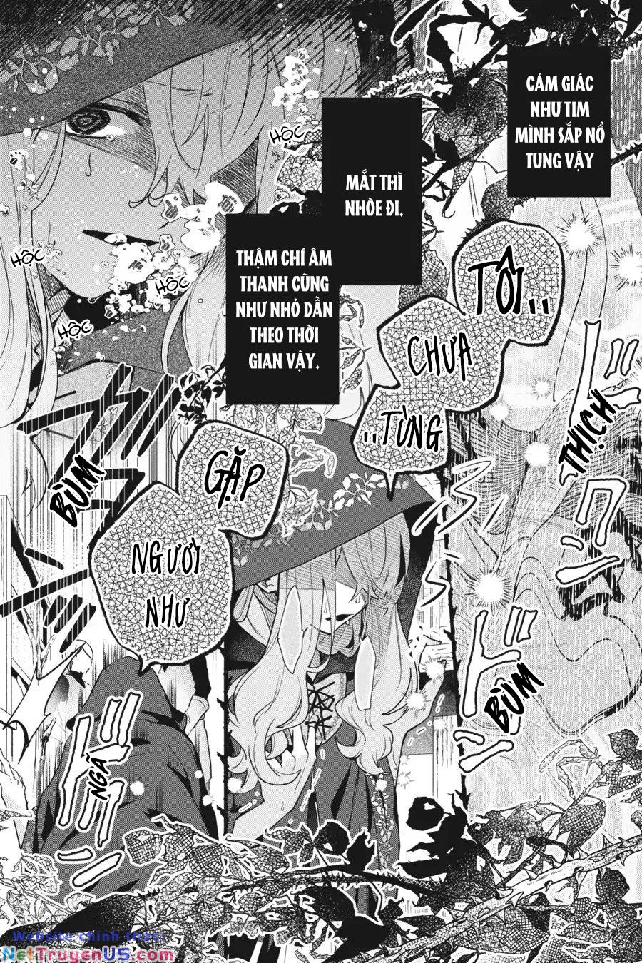 Crush Muốn Tôi Làm Một Lọ Tình Dược Cho Anh Ấy!: Chapter 13