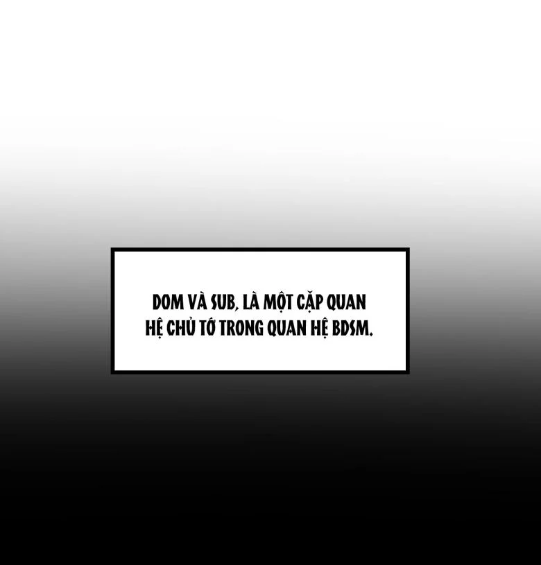 Anh Ấy Đến Từ Màn Đêm: Chapter 23