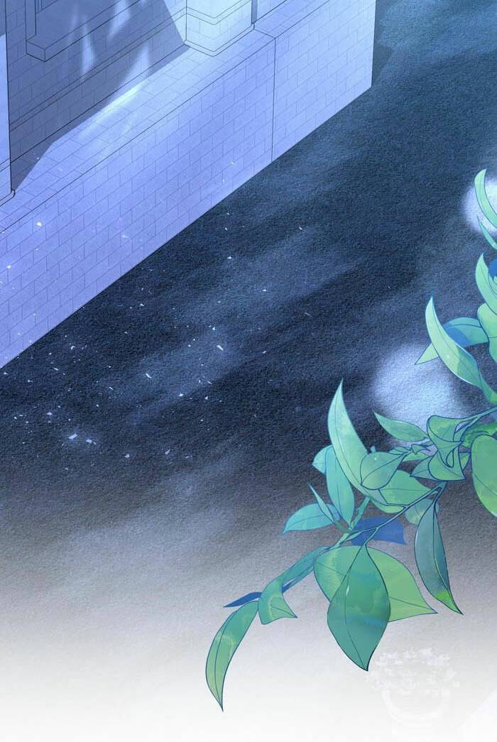 Tỏa Sáng Rực Rỡ: Chapter 17.2