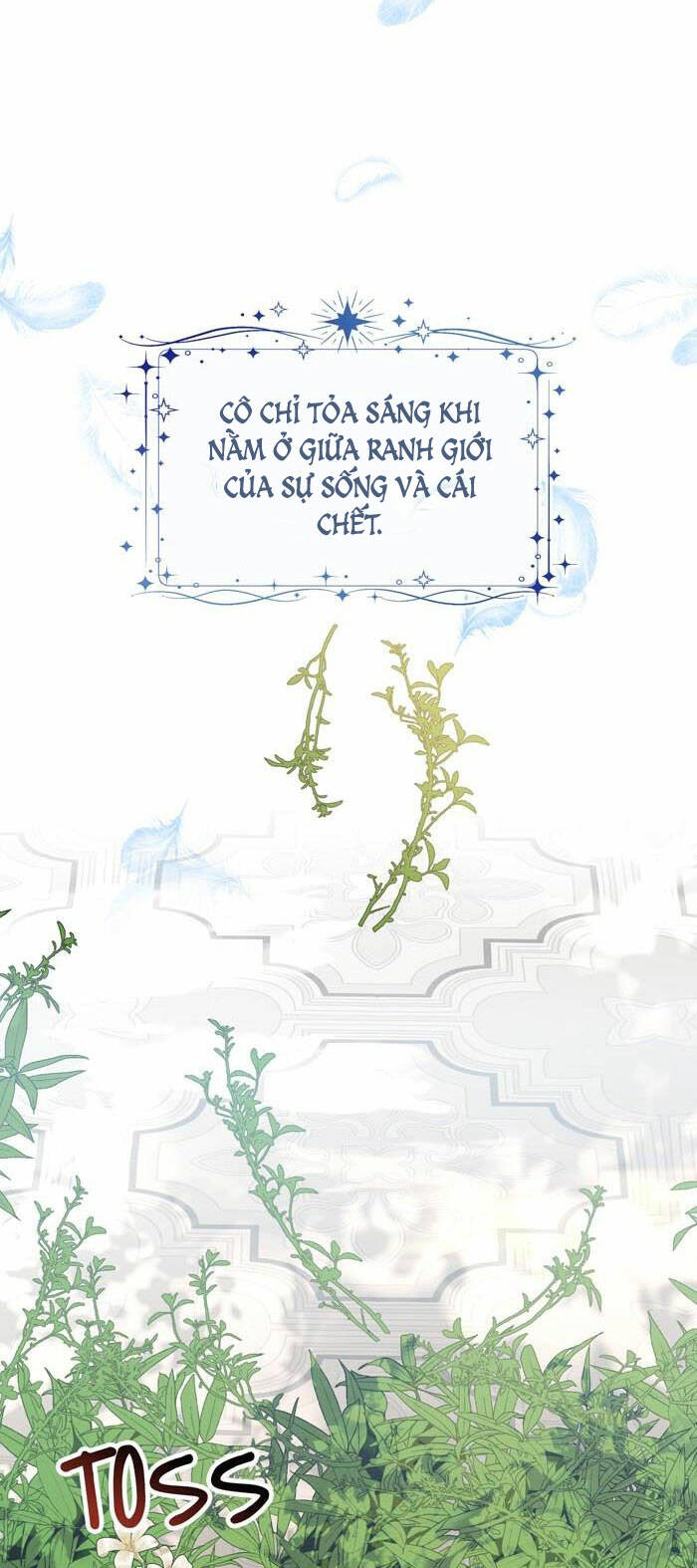 Tỏa Sáng Rực Rỡ: Chapter 8.1