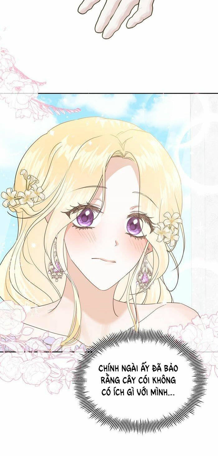 Tỏa Sáng Rực Rỡ: Chapter 8.1