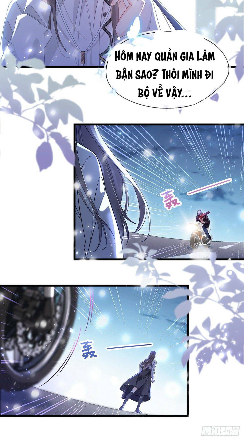 Cô Ấy Và Bông Hồng Trắng: Chapter 5
