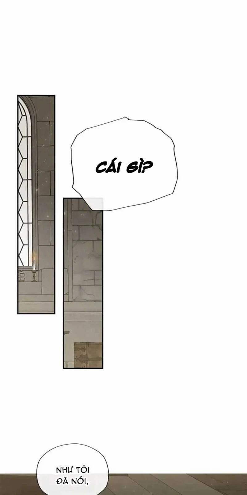 Cuộc Hôn Nhân Bất Đắc Dĩ Của Tôi: Chapter 52.2