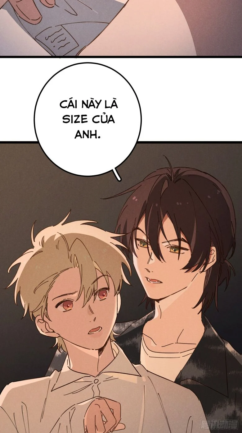 Tôi Không Cùng Anh Đến Vùng Đất Bắp Ngô Đâu!: Chapter 1
