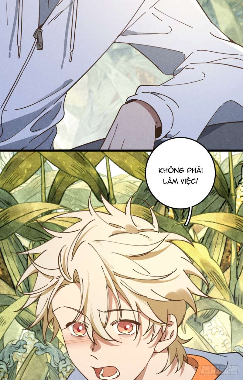 Tôi Không Cùng Anh Đến Vùng Đất Bắp Ngô Đâu!: Chapter 19
