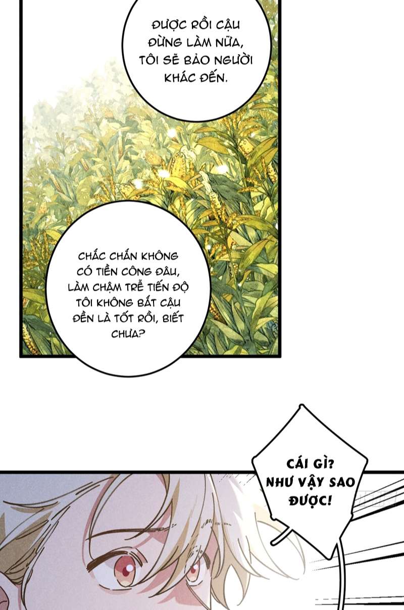 Tôi Không Cùng Anh Đến Vùng Đất Bắp Ngô Đâu!: Chapter 19