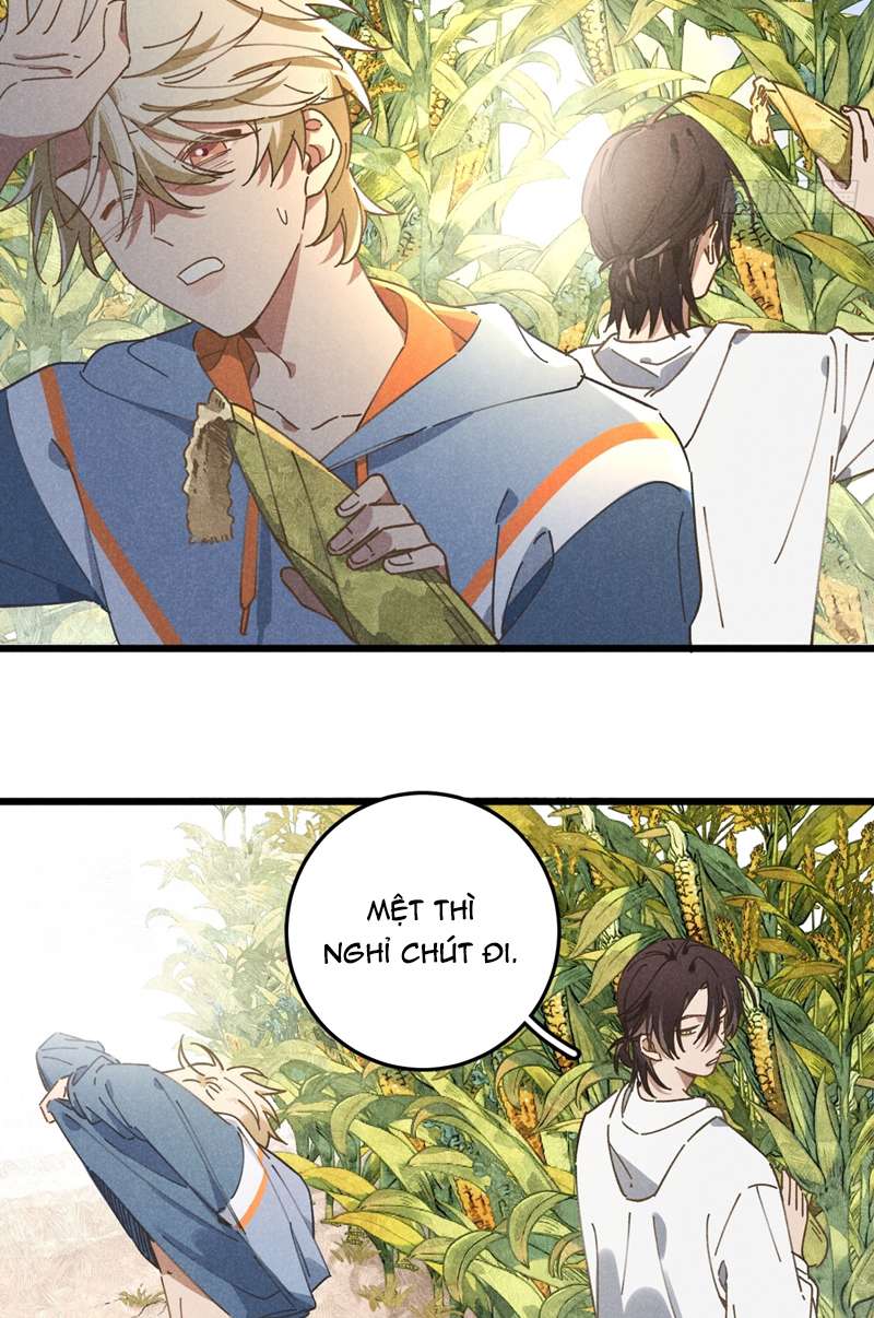 Tôi Không Cùng Anh Đến Vùng Đất Bắp Ngô Đâu!: Chapter 19