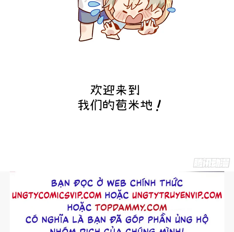 Tôi Không Cùng Anh Đến Vùng Đất Bắp Ngô Đâu!: Chapter 20