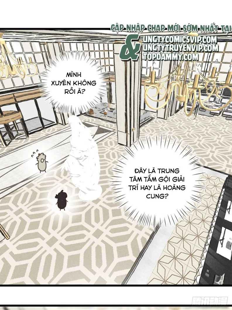 Tôi Không Cùng Anh Đến Vùng Đất Bắp Ngô Đâu!: Chapter 38