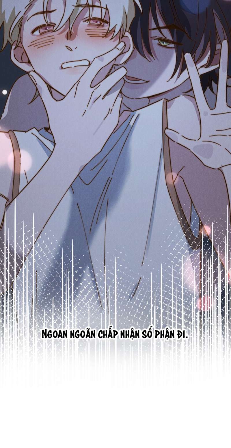 Tôi Không Cùng Anh Đến Vùng Đất Bắp Ngô Đâu!: Chapter 8