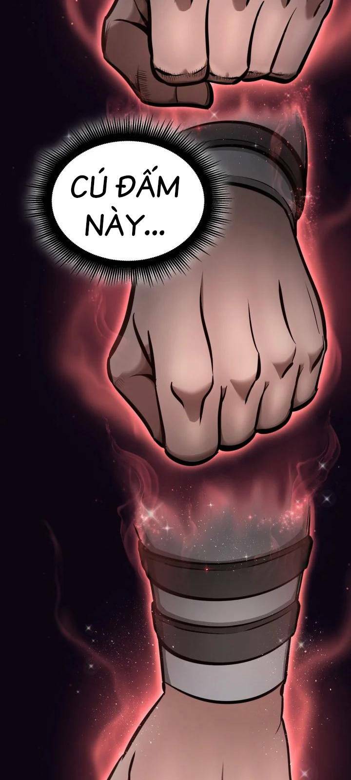 Võ Sĩ Quyền Anh Carly: Chapter 1