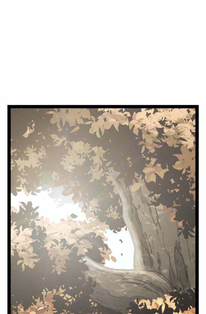 Võ Sĩ Quyền Anh Carly: Chapter 13
