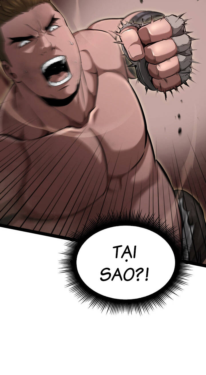 Võ Sĩ Quyền Anh Carly: Chapter 4