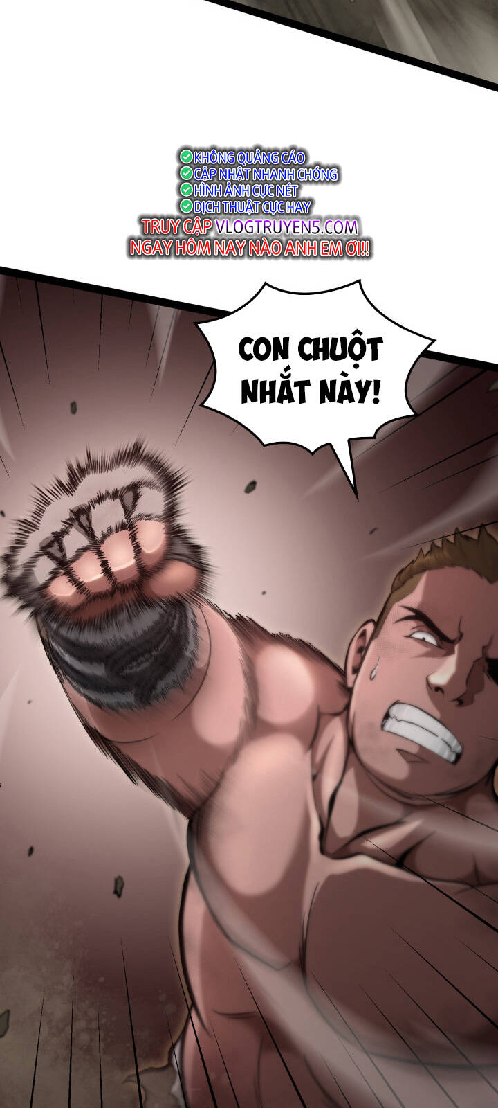 Võ Sĩ Quyền Anh Carly: Chapter 4